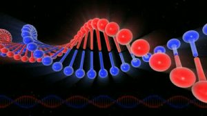 stock-footage-dna-structure-d-digital-video